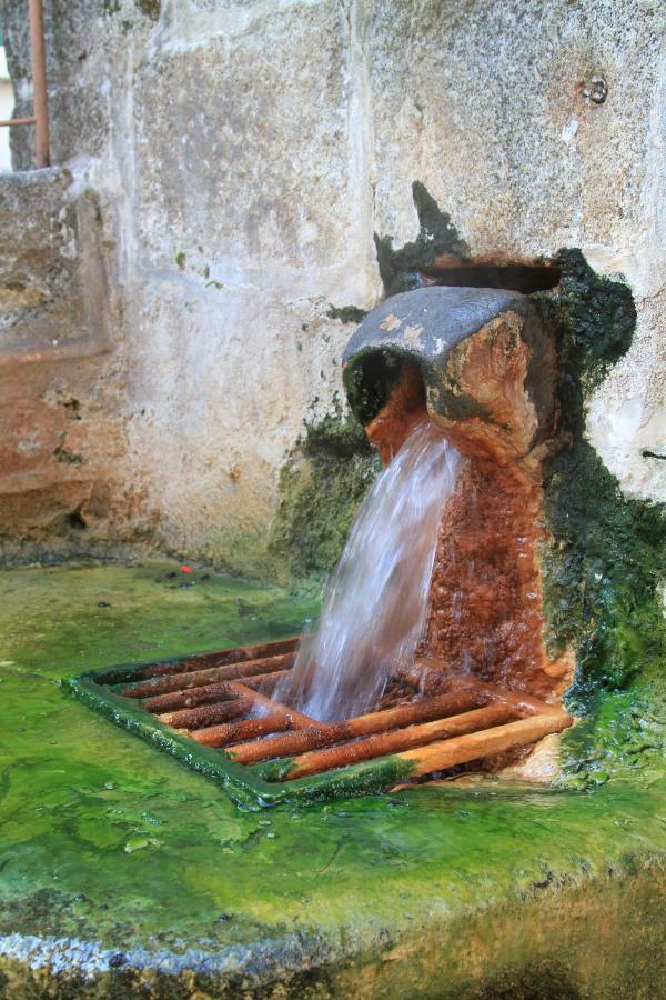 Maison De Plein Pied Au Coeur De La Nature Chaudes-Aigues Bagian luar foto